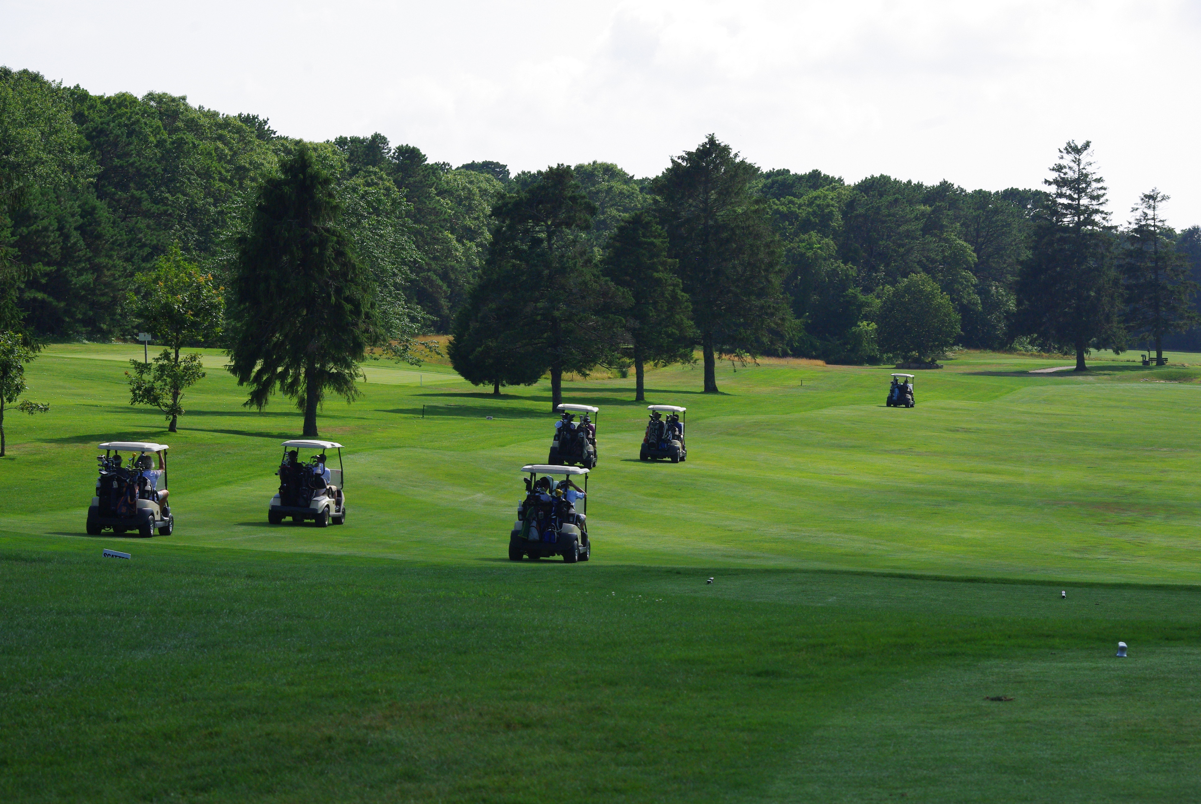 Mink Meadows Golf Club